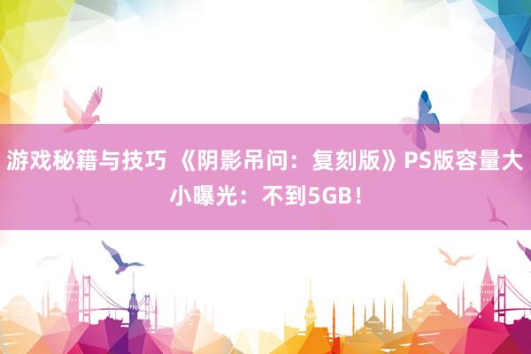 游戏秘籍与技巧 《阴影吊问：复刻版》PS版容量大小曝光：不到5GB！