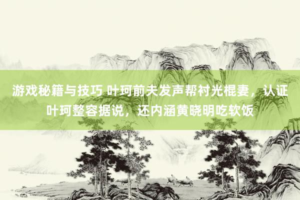 游戏秘籍与技巧 叶珂前夫发声帮衬光棍妻，认证叶珂整容据说，还内涵黄晓明吃软饭