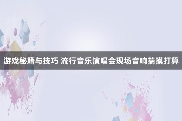 游戏秘籍与技巧 流行音乐演唱会现场音响揣摸打算