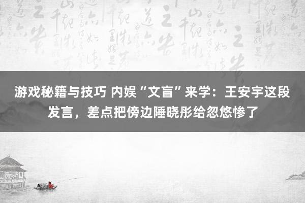 游戏秘籍与技巧 内娱“文盲”来学：王安宇这段发言，差点把傍边陲晓彤给忽悠惨了