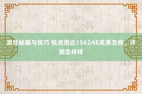 游戏秘籍与技巧 悦虎洛达1562AE成果怎样，评测怎样样