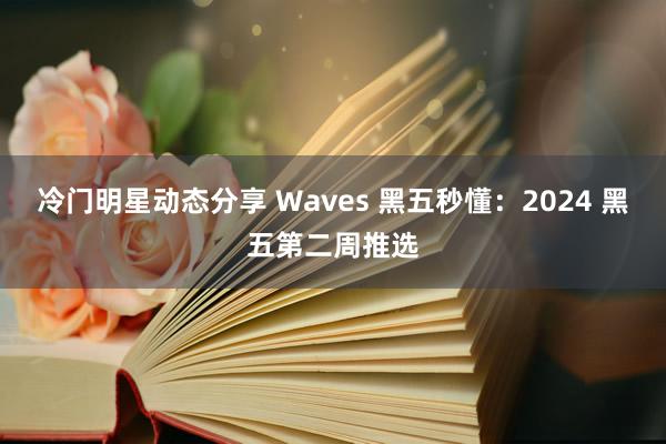 冷门明星动态分享 Waves 黑五秒懂：2024 黑五第二周推选