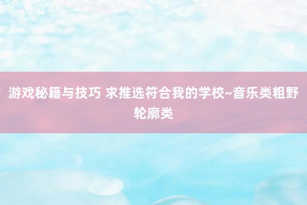 游戏秘籍与技巧 求推选符合我的学校~音乐类粗野轮廓类