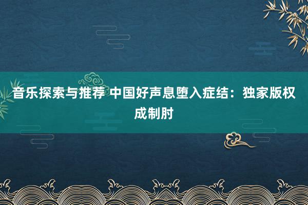 音乐探索与推荐 中国好声息堕入症结：独家版权成制肘