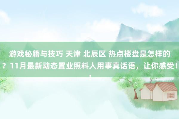 游戏秘籍与技巧 天津 北辰区 热点楼盘是怎样的？11月最新动态置业照料人用事真话语，让你感受！