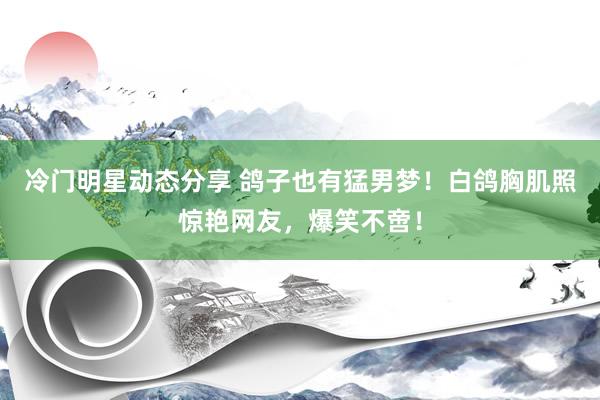 冷门明星动态分享 鸽子也有猛男梦！白鸽胸肌照惊艳网友，爆笑不啻！