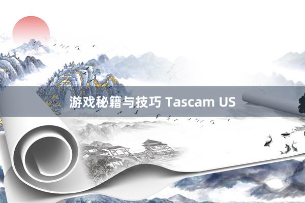 游戏秘籍与技巧 Tascam US