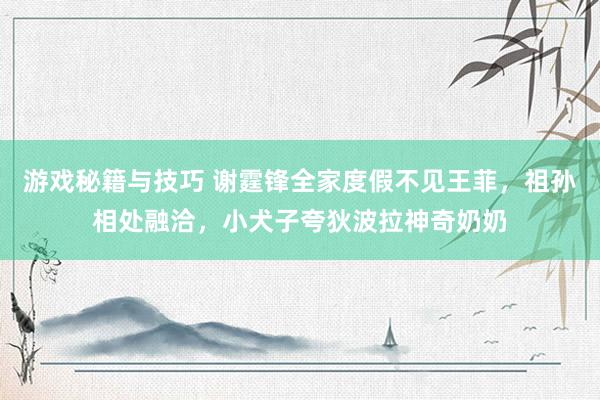 游戏秘籍与技巧 谢霆锋全家度假不见王菲，祖孙相处融洽，小犬子夸狄波拉神奇奶奶