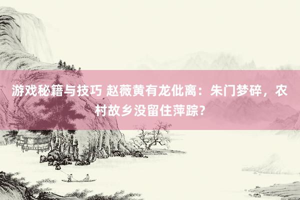 游戏秘籍与技巧 赵薇黄有龙仳离：朱门梦碎，农村故乡没留住萍踪？