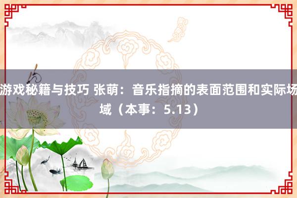 游戏秘籍与技巧 张萌：音乐指摘的表面范围和实际场域（本事：5.13）