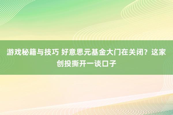 游戏秘籍与技巧 好意思元基金大门在关闭？这家创投撕开一谈口子