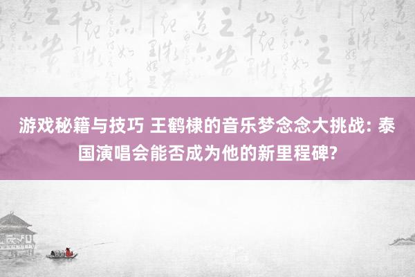 游戏秘籍与技巧 王鹤棣的音乐梦念念大挑战: 泰国演唱会能否成为他的新里程碑?