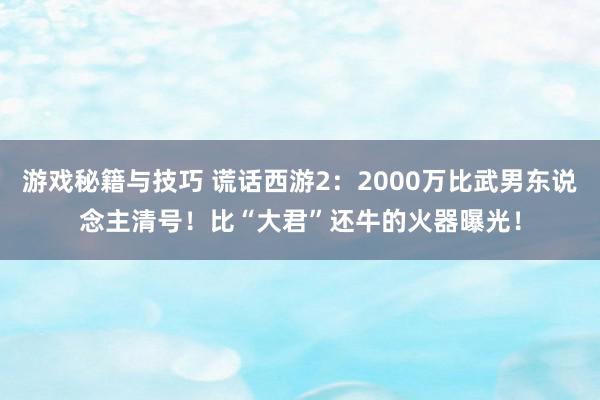 游戏秘籍与技巧 谎话西游2：2000万比武男东说念主清号！比“大君”还牛的火器曝光！