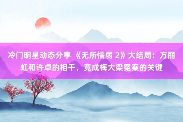 冷门明星动态分享 《无所懦弱 2》大结局：方丽虹和许卓的相干，竟成梅大梁冤案的关键