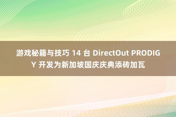 游戏秘籍与技巧 14 台 DirectOut PRODIGY 开发为新加坡国庆庆典添砖加瓦