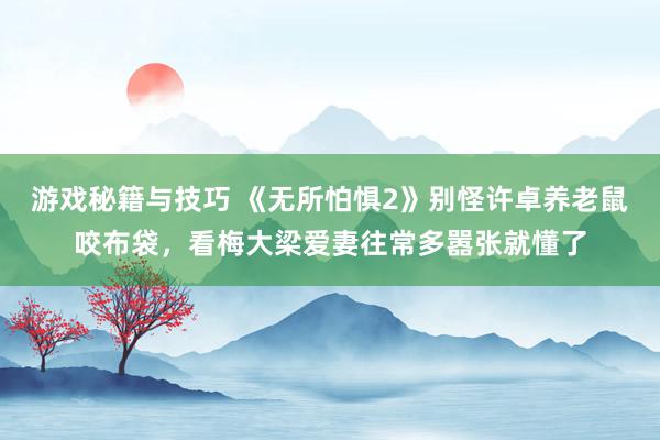 游戏秘籍与技巧 《无所怕惧2》别怪许卓养老鼠咬布袋，看梅大梁爱妻往常多嚣张就懂了