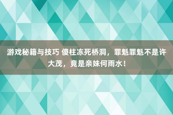 游戏秘籍与技巧 傻柱冻死桥洞，罪魁罪魁不是许大茂，竟是亲妹何雨水！