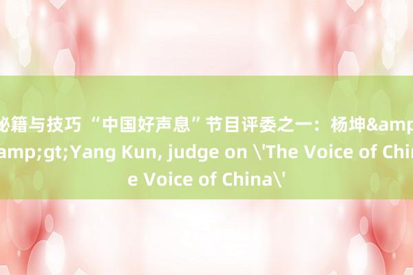 游戏秘籍与技巧 “中国好声息”节目评委之一：杨坤&lt;br/&gt;Yang Kun, judge on 'The Voice of China'