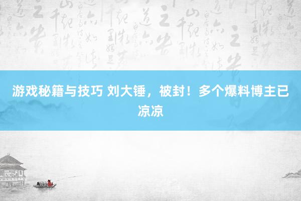 游戏秘籍与技巧 刘大锤，被封！多个爆料博主已凉凉