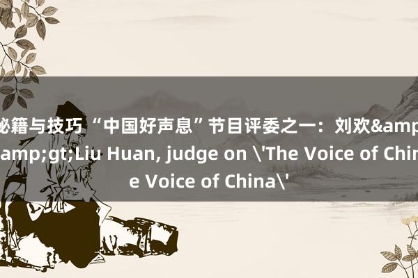 游戏秘籍与技巧 “中国好声息”节目评委之一：刘欢&lt;br/&gt;Liu Huan, judge on 'The Voice of China'