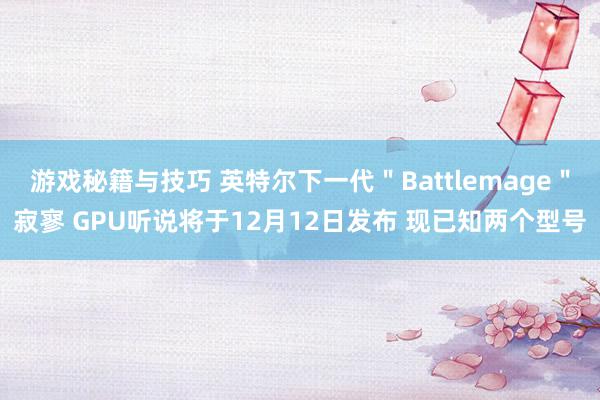 游戏秘籍与技巧 英特尔下一代＂Battlemage＂寂寥 GPU听说将于12月12日发布 现已知两个型号